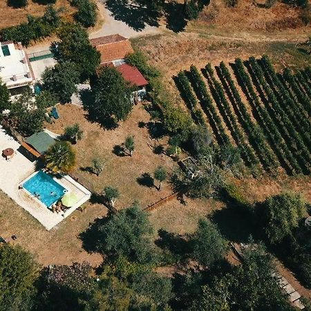 Hotel Quinta Portugo Cernache do Bonjardim Exteriér fotografie